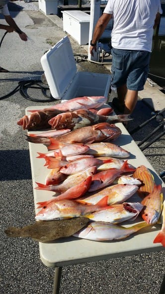 fish